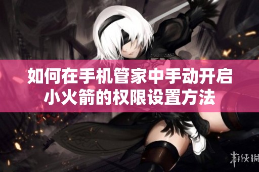 如何在手机管家中手动开启小火箭的权限设置方法
