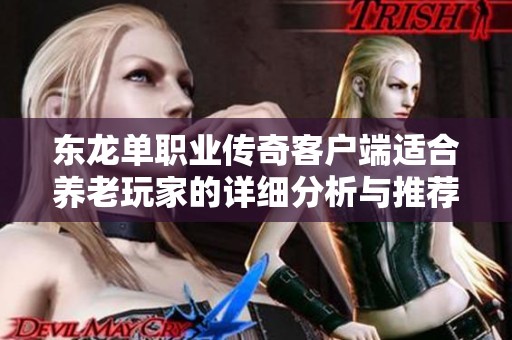 东龙单职业传奇客户端适合养老玩家的详细分析与推荐