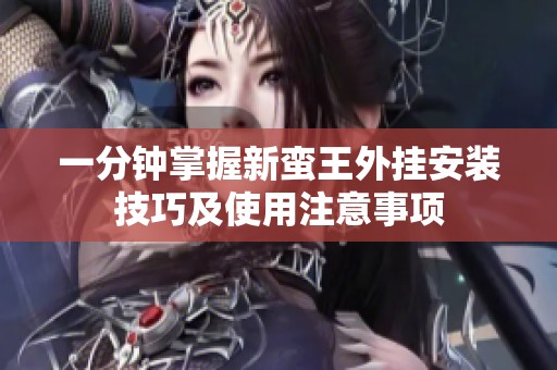 一分钟掌握新蛮王外挂安装技巧及使用注意事项