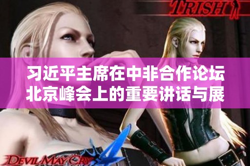 习近平主席在中非合作论坛北京峰会上的重要讲话与展望
