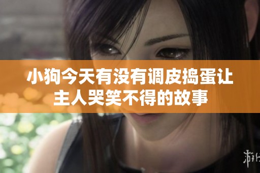 小狗今天有没有调皮捣蛋让主人哭笑不得的故事