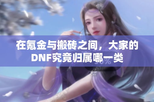 在氪金与搬砖之间，大家的DNF究竟归属哪一类