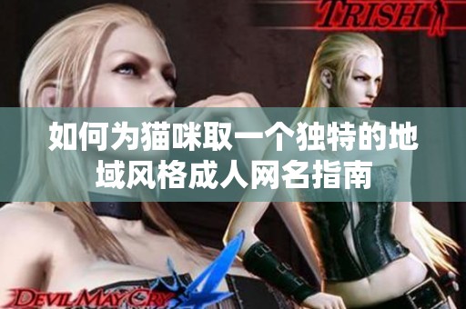 如何为猫咪取一个独特的地域风格成人网名指南