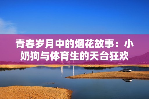 青春岁月中的烟花故事：小奶狗与体育生的天台狂欢