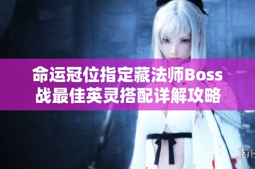 命运冠位指定藏法师Boss战最佳英灵搭配详解攻略