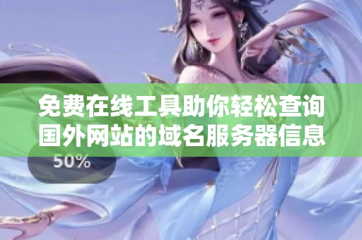 免费在线工具助你轻松查询国外网站的域名服务器信息