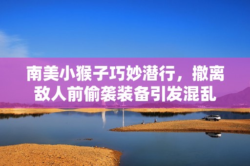 南美小猴子巧妙潜行，撤离敌人前偷袭装备引发混乱