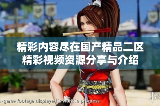 精彩内容尽在国产精品二区精彩视频资源分享与介绍