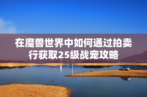 在魔兽世界中如何通过拍卖行获取25级战宠攻略