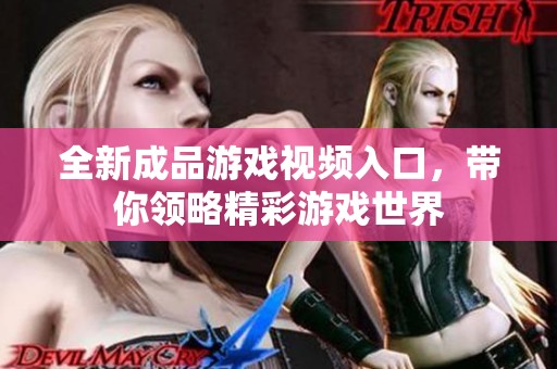全新成品游戏视频入口，带你领略精彩游戏世界