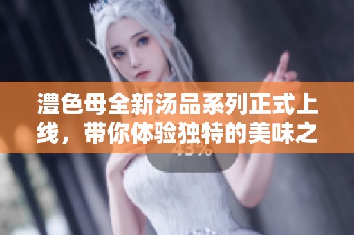 澧色母全新汤品系列正式上线，带你体验独特的美味之旅