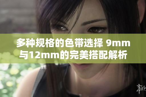 多种规格的色带选择 9mm与12mm的完美搭配解析
