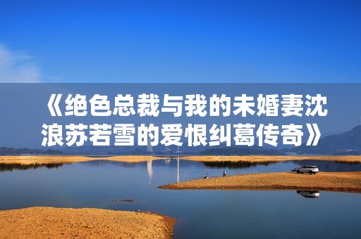 《绝色总裁与我的未婚妻沈浪苏若雪的爱恨纠葛传奇》