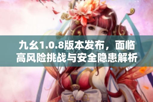 九幺1.0.8版本发布，面临高风险挑战与安全隐患解析
