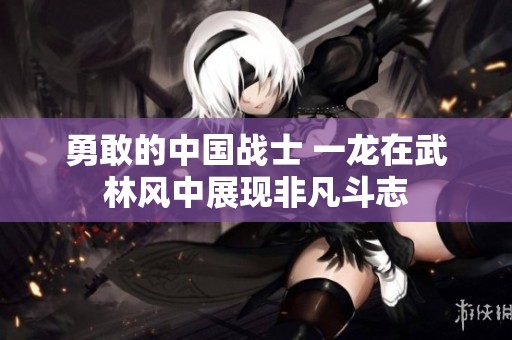 勇敢的中国战士 一龙在武林风中展现非凡斗志