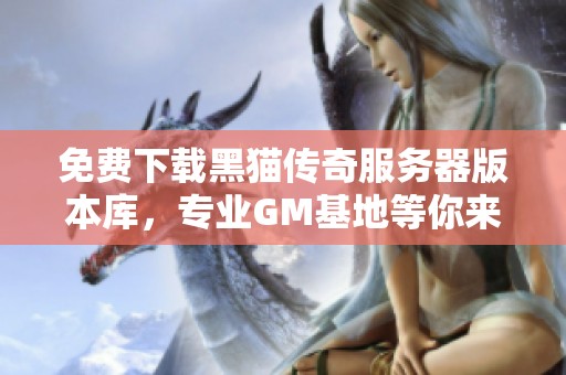 免费下载黑猫传奇服务器版本库，专业GM基地等你来探索