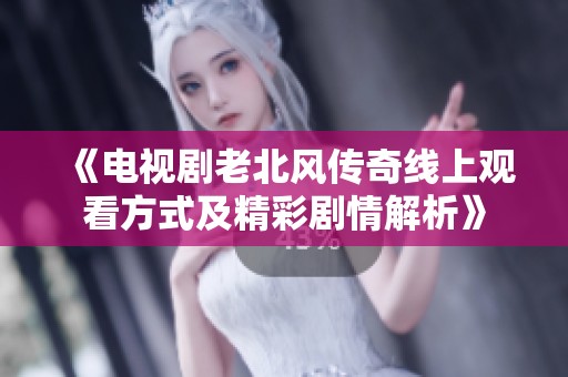 《电视剧老北风传奇线上观看方式及精彩剧情解析》