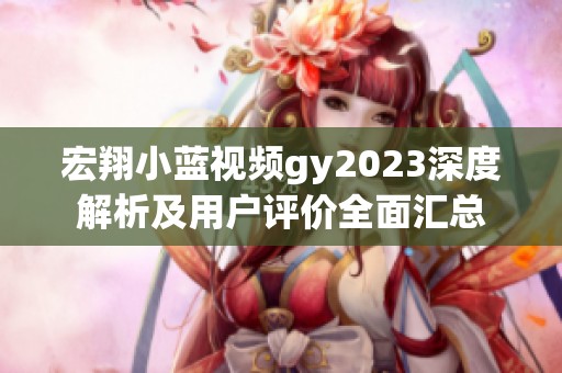 宏翔小蓝视频gy2023深度解析及用户评价全面汇总