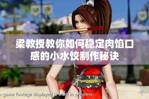 梁教授教你如何稳定肉馅口感的小水饺制作秘诀