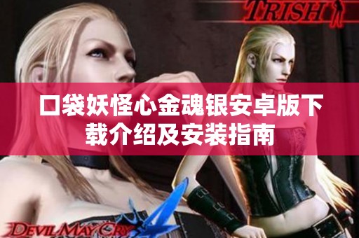 口袋妖怪心金魂银安卓版下载介绍及安装指南
