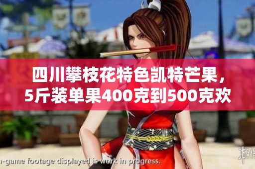 四川攀枝花特色凯特芒果，5斤装单果400克到500克欢迎购买