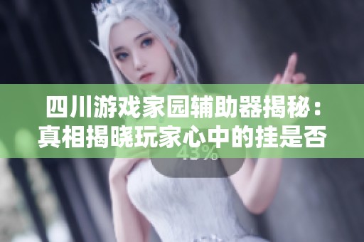 四川游戏家园辅助器揭秘：真相揭晓玩家心中的挂是否真实存在