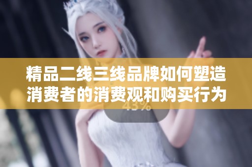 精品二线三线品牌如何塑造消费者的消费观和购买行为