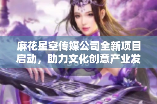 麻花星空传媒公司全新项目启动，助力文化创意产业发展