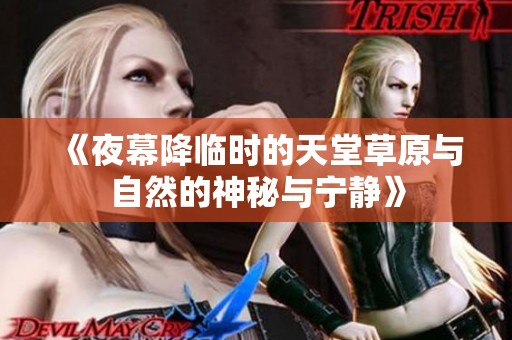 《夜幕降临时的天堂草原与自然的神秘与宁静》