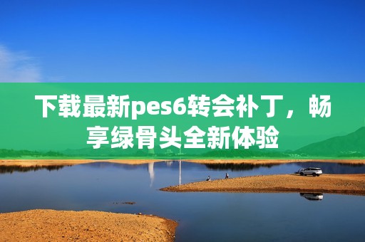 下载最新pes6转会补丁，畅享绿骨头全新体验