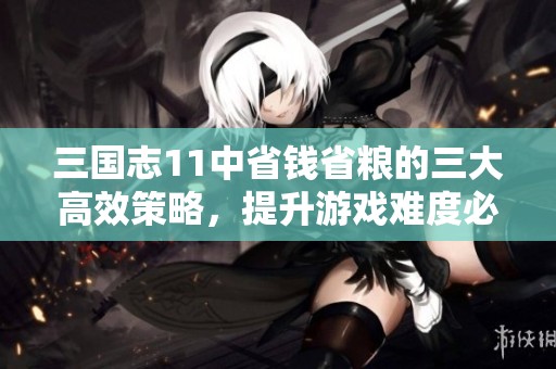 三国志11中省钱省粮的三大高效策略，提升游戏难度必备技巧