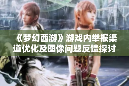 《梦幻西游》游戏内举报渠道优化及图像问题反馈探讨