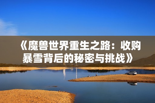《魔兽世界重生之路：收购暴雪背后的秘密与挑战》