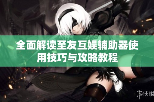 全面解读至友互娱辅助器使用技巧与攻略教程