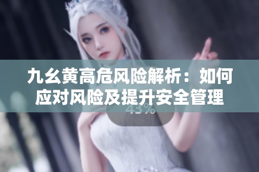 九幺黄高危风险解析：如何应对风险及提升安全管理