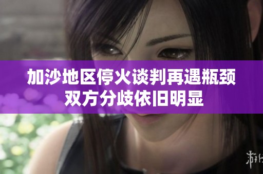 加沙地区停火谈判再遇瓶颈 双方分歧依旧明显