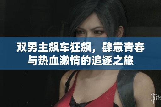 双男主飙车狂飙，肆意青春与热血激情的追逐之旅