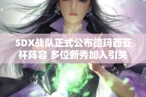 SDX战队正式公布德玛西亚杯阵容 多位新秀加入引关注