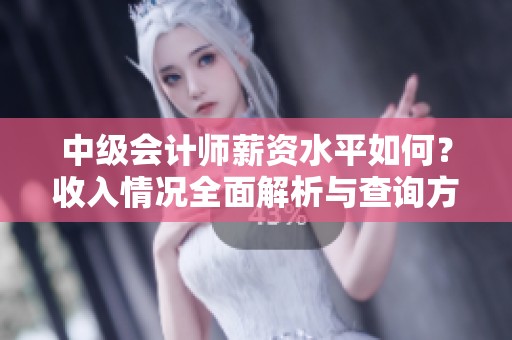 中级会计师薪资水平如何？收入情况全面解析与查询方法