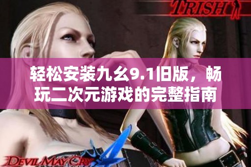 轻松安装九幺9.1旧版，畅玩二次元游戏的完整指南