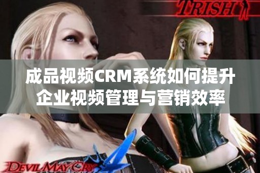 成品视频CRM系统如何提升企业视频管理与营销效率