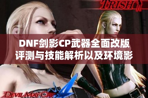 DNF剑影CP武器全面改版评测与技能解析以及环境影响分析