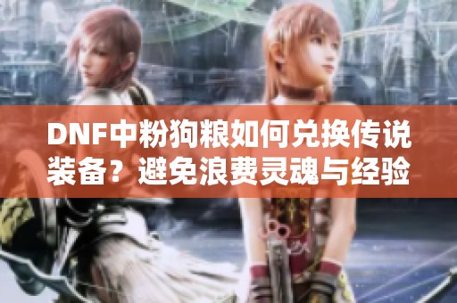 DNF中粉狗粮如何兑换传说装备？避免浪费灵魂与经验的最佳选择解析