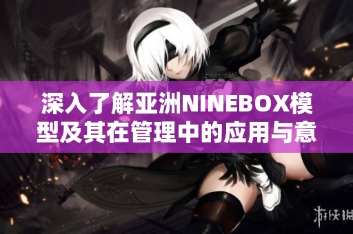 深入了解亚洲NINEBOX模型及其在管理中的应用与意义