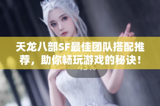 天龙八部SF最佳团队搭配推荐，助你畅玩游戏的秘诀！