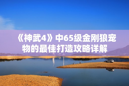 《神武4》中65级金刚狼宠物的最佳打造攻略详解