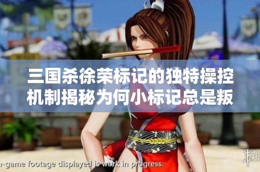 三国杀徐荣标记的独特操控机制揭秘为何小标记总是叛逆