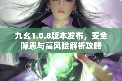 九幺1.0.8版本发布，安全隐患与高风险解析攻略