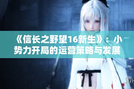 《信长之野望16新生》：小势力开局的运营策略与发展指南