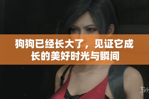 狗狗已经长大了，见证它成长的美好时光与瞬间